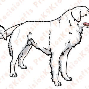 Puede incluir: Un perro blanco y esponjoso con la cola enroscada se encuentra de pie sobre un fondo blanco. El perro tiene un pelaje largo y denso y una expresión amigable.