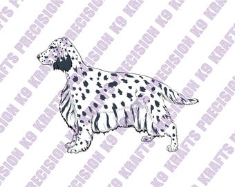English Setter Vector Illustration, Clip Art (eps, pdf, png, psd, dxf)