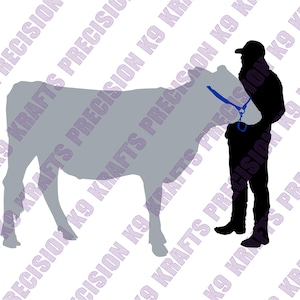 4H, Junior showmanship, dairy cow, brown Swiss, cattle, Youth Handler, DXF, PNG, SVG, Ai,