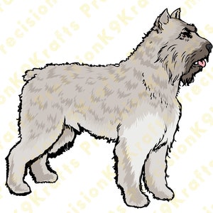 Bouvier Des Flandres, Bouvier, Bouv, herding, SVG, DXF, png, ai, jpg
