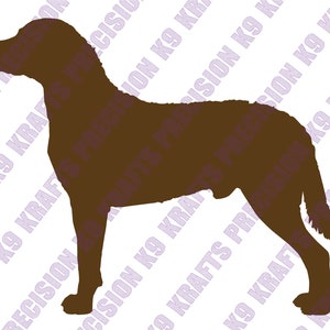 Chesapeake Bay Retriever, chessie, silhouette, SVG, Ai, PDF, PNG, cut file, vector, clip art,