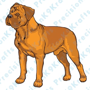 Dogue De Bordeaux, Franse Mastiff,