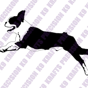 Boston Terriër, Boston, Amerikaanse gentleman, behendigheid, springen, atletisch, SVG, PNG, Ai, PDF