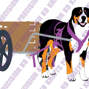 グレーター スイス マウンテン ドッグ、スイス ドッグ、荷馬車運搬犬、牽引犬、作業犬、農場犬