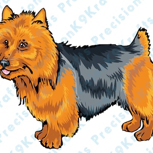 Australian Terrier