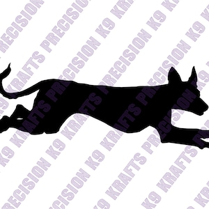 Ibizan hound, Sighthound, hound, racing, coursing, dxf, svg, png, eps, ai