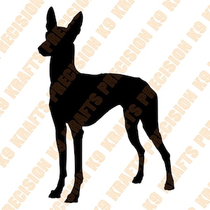 Pharaoh Hound female, SVG, DXF, ai, EPS,