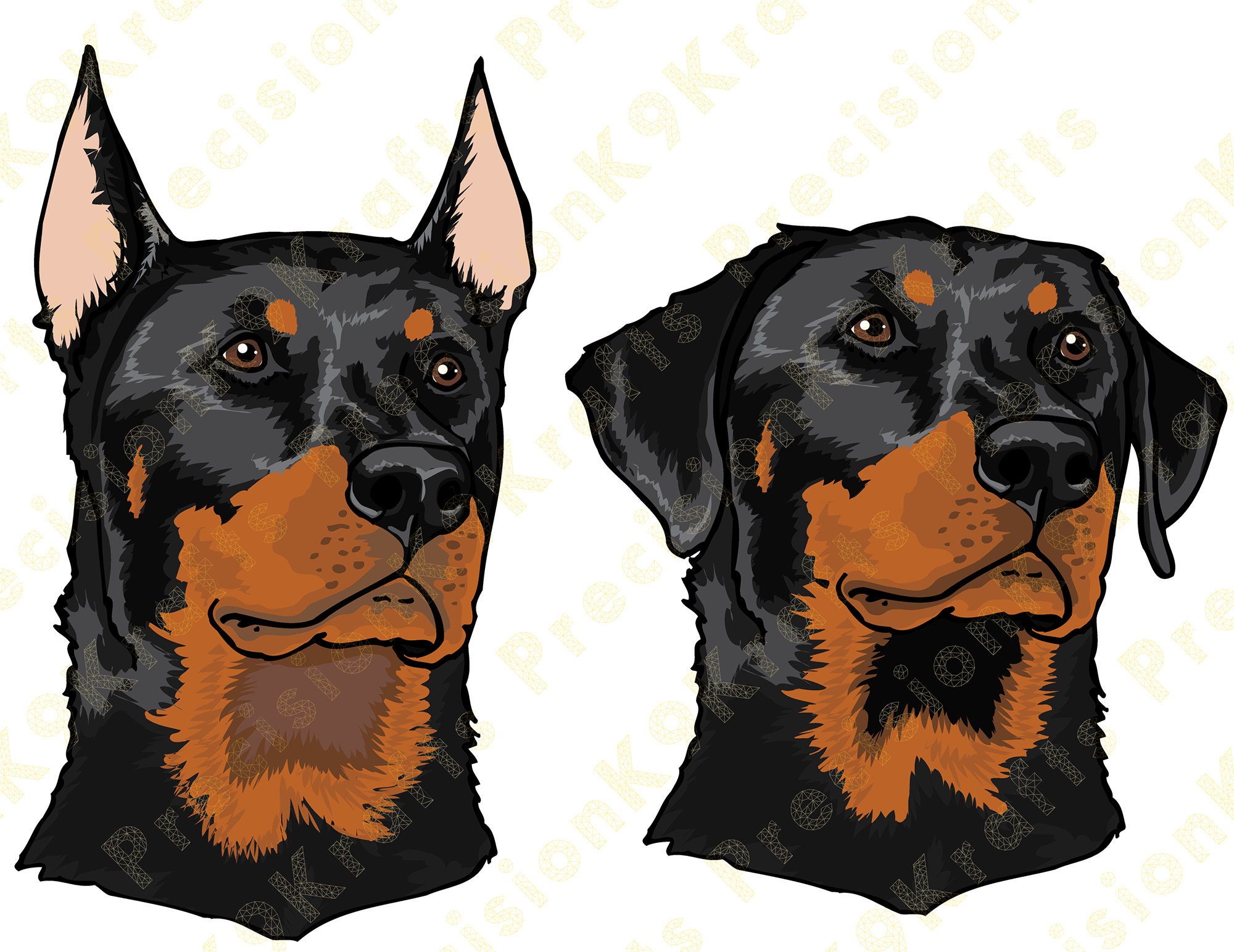 Doberman Beauceron In Not Discount Beauceron In Not Hotsell