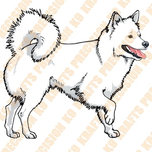 American Eskimo dog, Eskie, Spitz