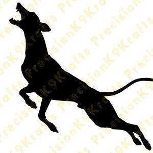 Whippet, levriero, salto sul molo, svg