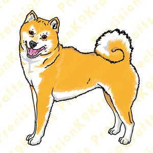 Shiba Inu