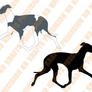 Levriero italiano, razza toy, Iggy, vettoriale, PNG, Ai, PDF, DXF