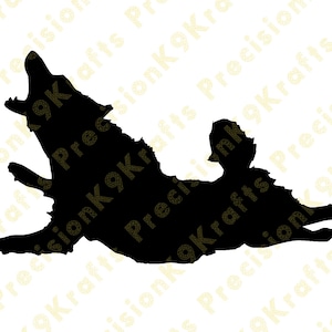 Border collie dock jumping, water sports, svg, dxf, eps
