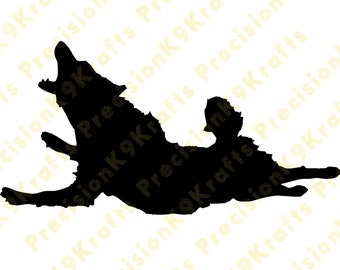 Border collie dock jumping, water sports, svg, dxf, eps