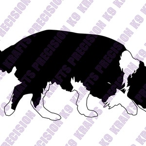 Bordercollie, tracking, manvolging, geurwerk, neuswerk, SVG, PNG, Ai, PDF, Clipart, vectorkunst, dxf,
