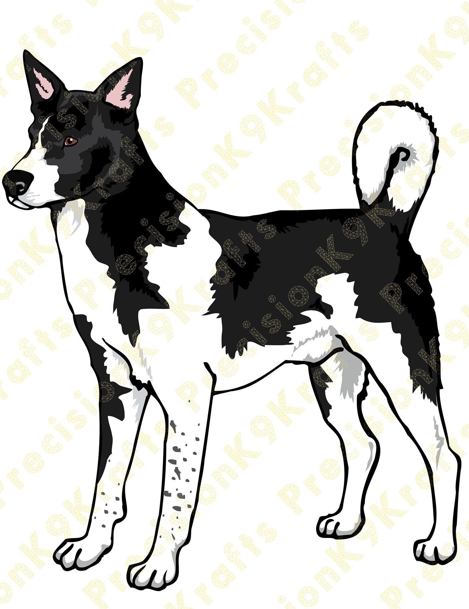 Canaan Dog Different Poses, Coat Colors Set Stock Vector Illustration