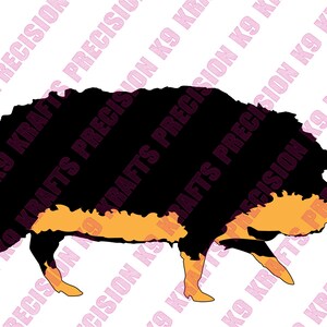 mangalitz, scrofa, maiale, maiale, suino, allevamento, PNG, Ai, PDF, Clipart, arte vettoriale, file tagliato,