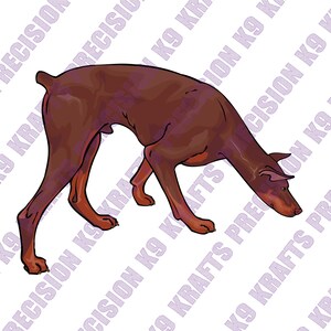 Dobermann pinscher, spårning, doberman, dobie, doftspårning, dxf, svg, eps, png