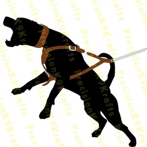 American Bulldog on Harness