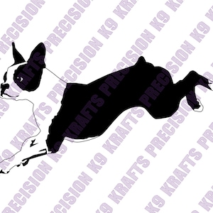 Boston Terrier, Boston, American Gentleman, Agility, Jump, Athletic, SVG, PNG, Ai,