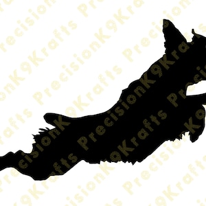 Bretagna, salto dal molo, sport acquatici, svg,