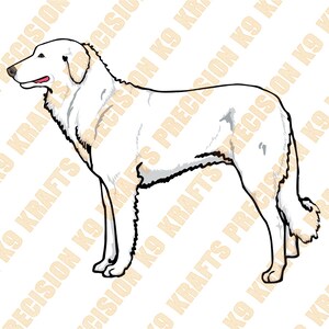 Perro Akbash, perro de ganado, raza guardiana, EPS, PDF, PNG, PsD, Dxf, Svg