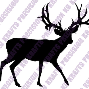 Maultierhirschböcke, Maultierhirsch, Monsterbock, bei der Jagd, SVG, Ai, PDF, PNG, Dxf,