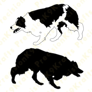 Stalking Border Collie, SVG, DXF, ai, eps,
