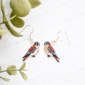 May include: A pair of earrings featuring a detailed illustration of a kestrel bird with orange, brown, and blue colors. The earrings are made of clear acrylic and have silver hooks.