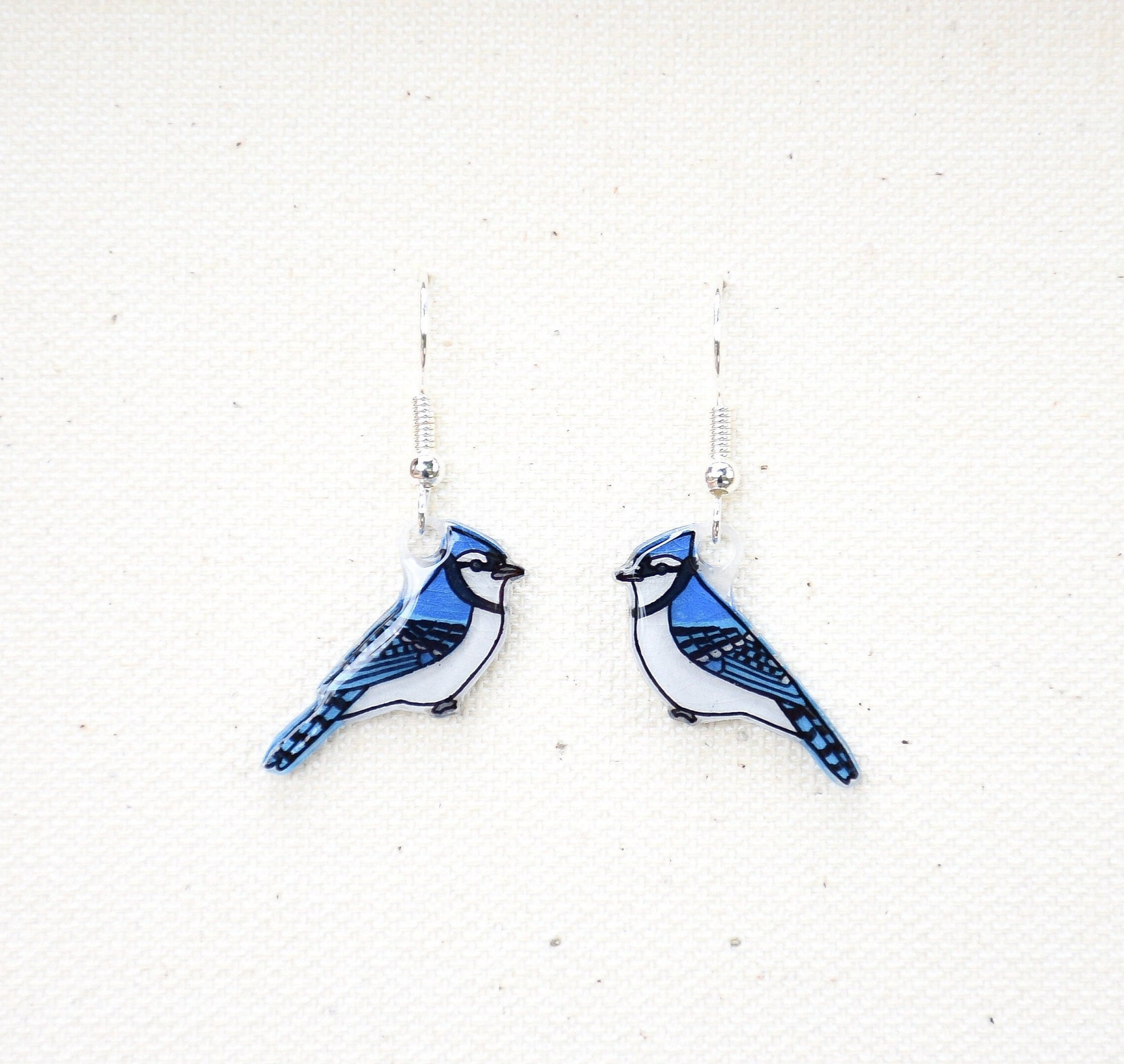 Blue Jay Earrings, Bird Earrings, Dangle & Drop, Handmade Earrings