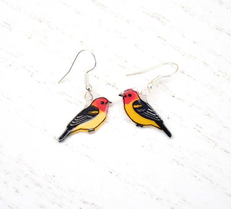 Western Tanager Earrings, Bird Earrings, Bird Jewelry, Dangle & Drop, Cute Animal Earrings, Unique Earrings, Handmade Earrings, Bird Gift image 3