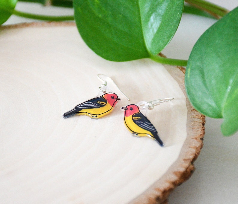 Western Tanager Earrings, Bird Earrings, Bird Jewelry, Dangle & Drop, Cute Animal Earrings, Unique Earrings, Handmade Earrings, Bird Gift image 5