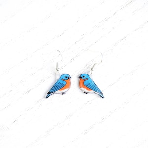 May include: A pair of bluebird earrings with silver hooks. The bluebirds are painted with blue, orange, and black details.