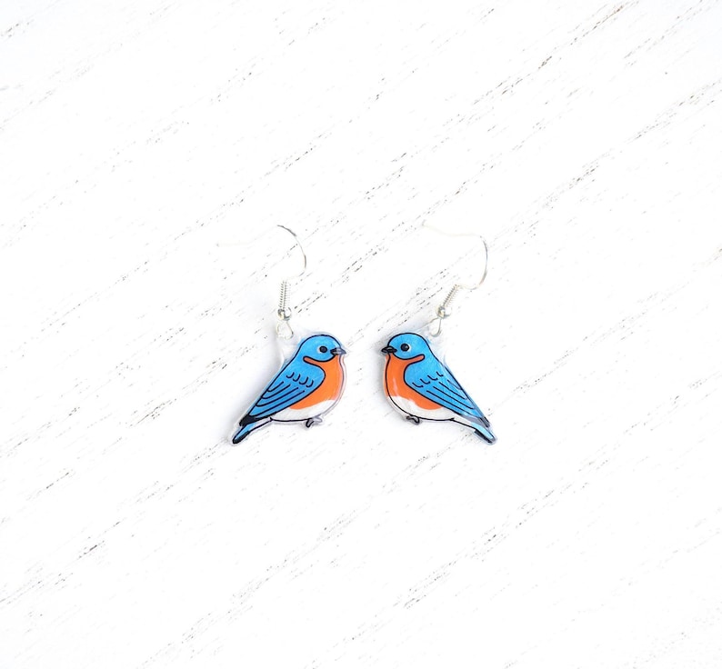 May include: A pair of bluebird earrings with silver hooks. The bluebirds are painted with blue, orange, and black details.