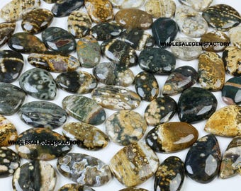 Ocean Jasper Cabochon Lot: Mixed Shapes, Natural Gemstone
