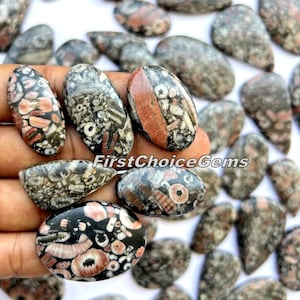 May include: Assortment of fossilized stone cabochons in various shades of gray, black, and pink with intricate patterns. The stones are oval shaped and have a smooth, polished finish.  FirstChoiceGems.