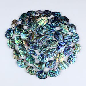 Könnte beinhalten: Eine Sammlung schillernder Abalone-Muschel-Cabochons in verschiedenen Formen und Größen. Die polierten Steine zeigen eine Reihe von Farben, darunter Blau-, Grün- und Lilatöne, mit wirbelnden Mustern. Das Bild enthält den Text "Firstchoicegems".