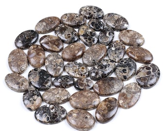 Lote de Ágata Turritella - Preço de Atacado - Lote de Cabochões de Ágata Turritella - Cristais de Ágata Turritella - Pedra do Mês - Ideal para Confecção de Joias e Outros Produtos.
