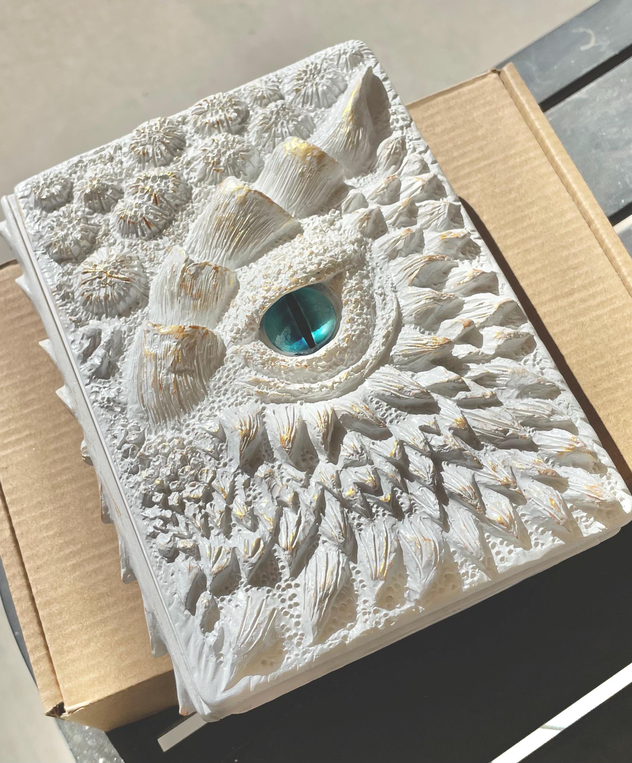 3D Dragon Eye Journal