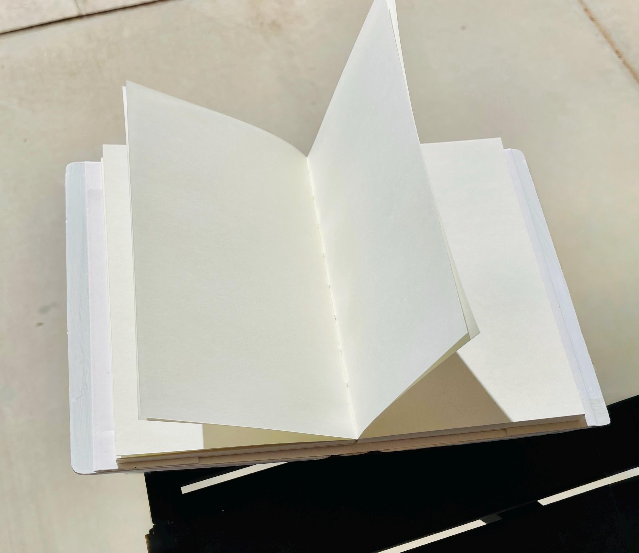 3D Dragon Eye Journal