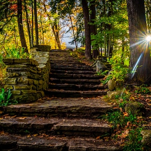 Steps at Letchworth state park
