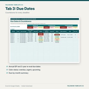 IEP Caseload Tracker Google Sheets, IEP Due Dates & Re-Evaluation Countdown, Service Minutes, Accommodations, Special Education Case Manager image 6