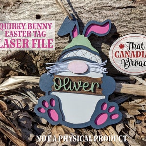 Puede incluir: Archivo l&aacute;ser para etiqueta de Pascua de Conejo Quirky. Un gnomo de conejo de madera cortado con l&aacute;ser con un sombrero rosa y un sombrero verde con barba blanca. El conejo sostiene un cartel que dice "Oliver".