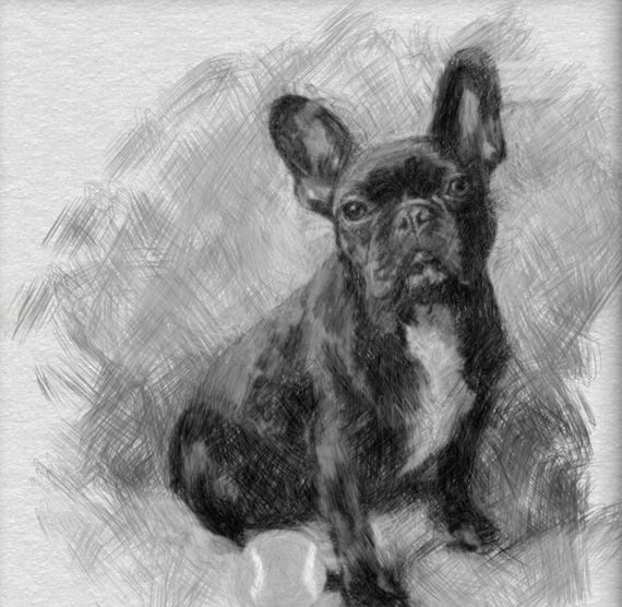 Custom Pet Portrait, Hand-Drawn Pencil Art, Dog Lover Gift