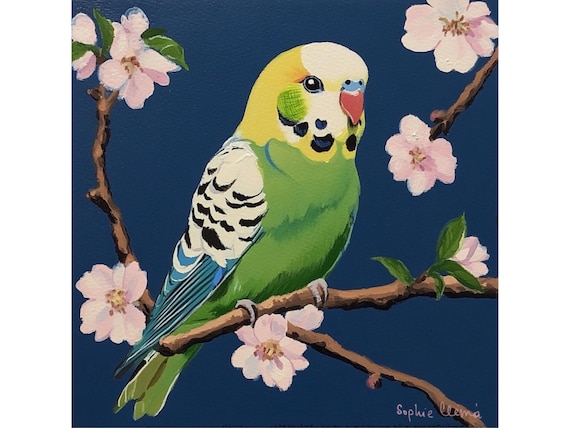 Grandmillennial art, Green Budgie and Cherry Blossom, Tropical parrot giclee print