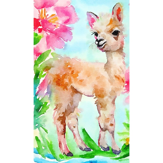 Original watercolor painting, Original watercolor painting, cute baby lama
