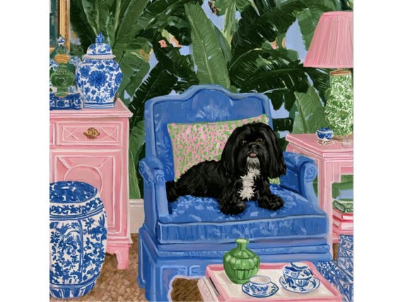 black Shih Tzu in chinoiserie Palm Beach room