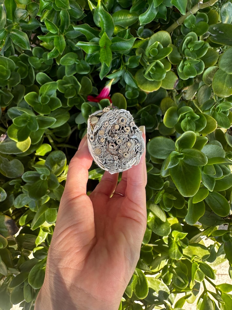 Rosemary and Sage Smudge Stick, Purification and Positive Energy Ritual Wands image 5