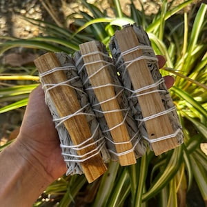 Palo Santo Sage Smudge Stick / New Home and New Beginnings Sage wand