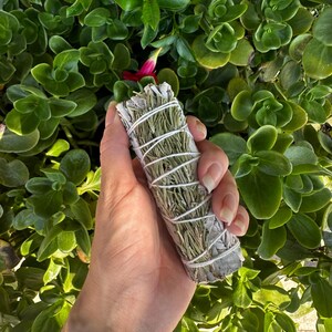 May include: A white sage smudge stick with a green herb, possibly rosemary, wrapped around it. The smudge stick is tied with twine and is held in a hand.